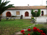 Monte Alzato