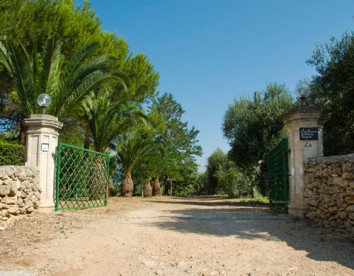 tenuta stajano