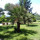 preview image14 esterno