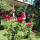 preview image11 esterno
