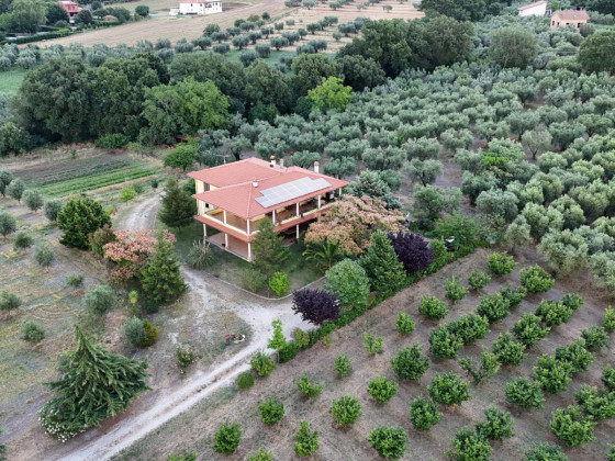 le quattro stagioni foto 10
