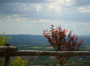 image10 Orizzonte