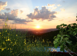 image9 Orizzonte