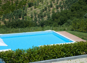 image9 Orizzonte
