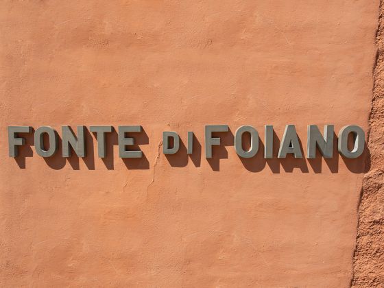 Fonte Di Foiano - foto 5