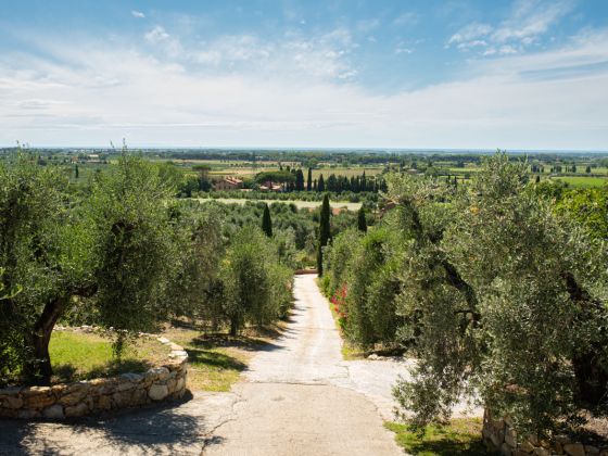 Fonte Di Foiano - foto 6