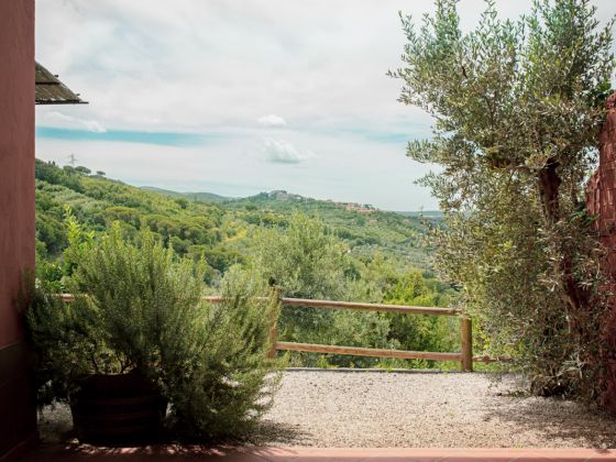 Fonte Di Foiano - foto 13