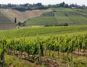 borgo vigna vecchia