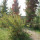 preview image0 esterno