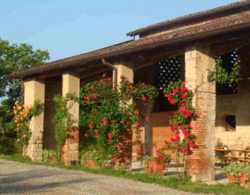 nuova scardua
