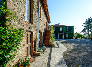 image3 Fattoria  Di  Gratena