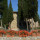 preview image12 esterno