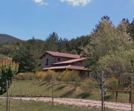 Farm-house Il Casotto - Chiusi Della Verna