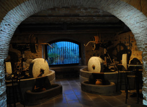 image20 Tenuta Ciminata Greco