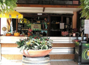 image2 Le Dodici Querce