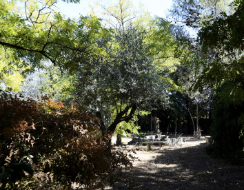 valle verde
