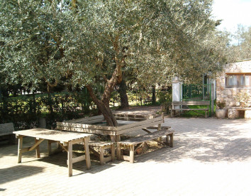 valle verde