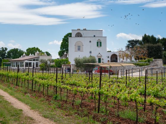 Masseria Aprile - foto 2