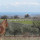 preview image3 esterno