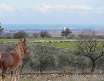 poggio ferrata