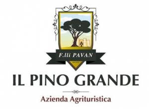 image1 Il Pino Grande - Masseria Citulo
