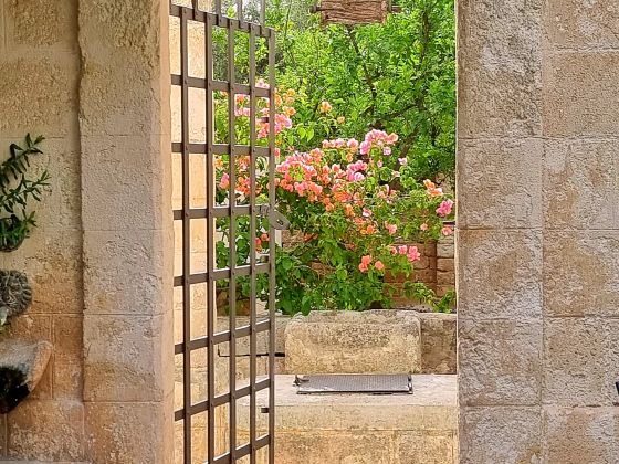Masseria Don Sante - foto 4