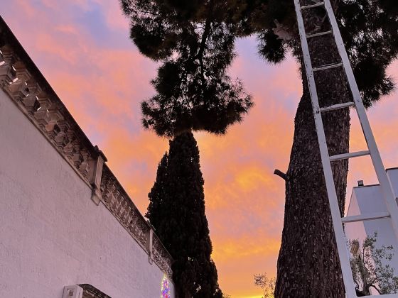 Masseria Don Sante - foto 6
