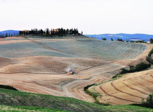 image9 Bonello