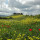 preview image5 esterno