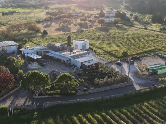 Tenuta Sarolo - foto 3