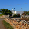 Tenuta Sarolo