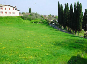image8 Val