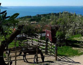 scuderia castello