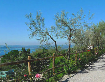 scuderia castello