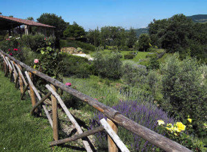 image18 La Castellana
