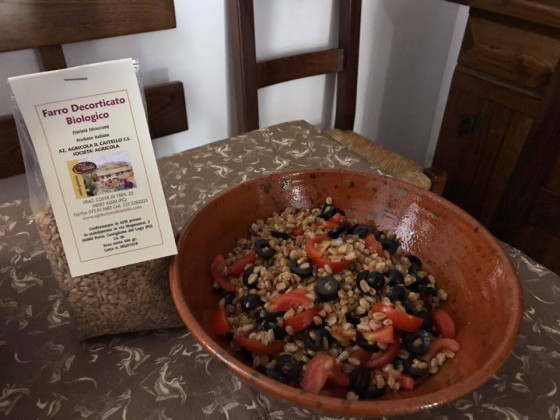 il castello foto esterno 10