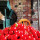preview image5 nostri_prodotti