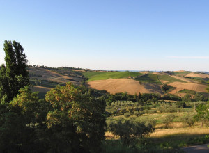 image12 Locanda Belvedere
