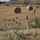 preview image19 esterno