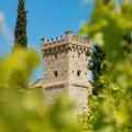 Fonte Sala