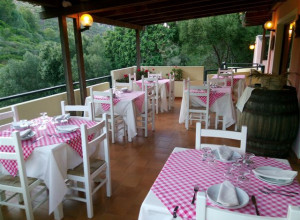 image12 Hotel Ristorante Oleandro