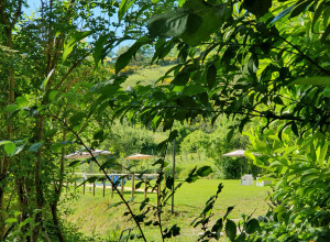 image5 Il Borghetto Di Pedana