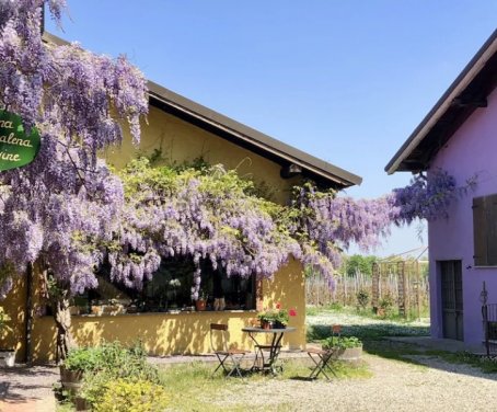 Farm-house Cascina La Maddalena - Rocca Grimalda