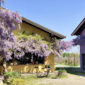Cascina La Maddalena