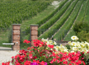 image0 La Giribaldina