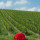 preview image13 esterno