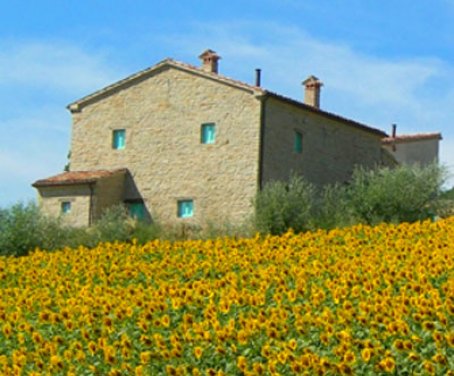 Ferienbauernhof Fattoria Fontegeloni - Serra San Quirico