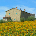 Fattoria Fontegeloni