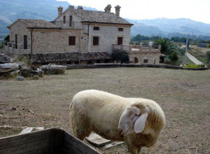 image3 La Meridiana