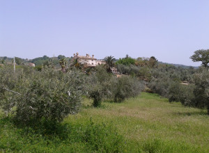 image27 La Meridiana